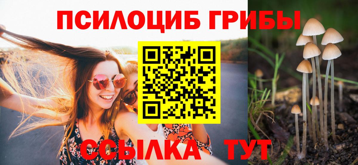 Мурманск  Псилоцибиновые грибы MAGIC MUSHROOMS  Вход с VPN 